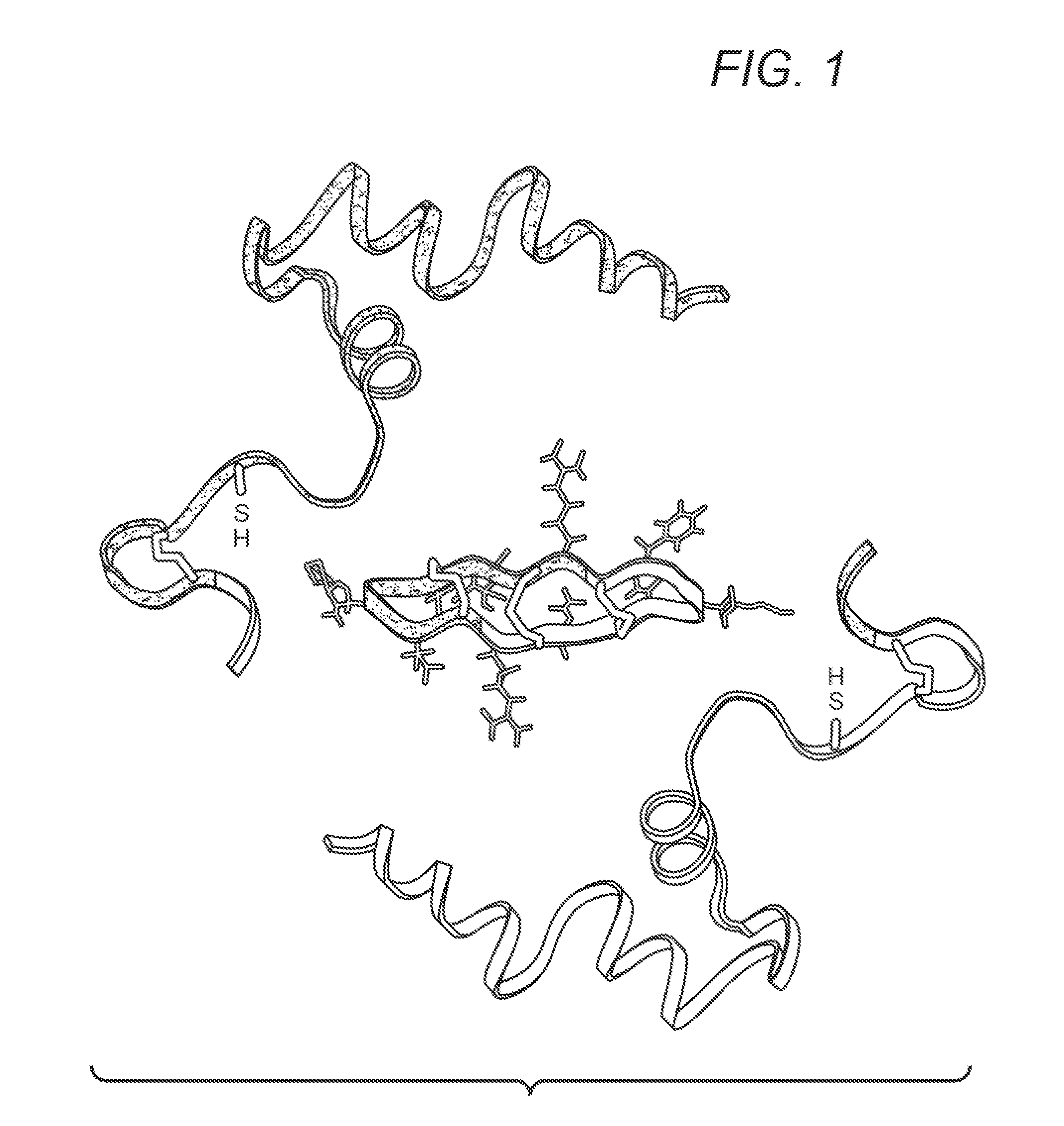 Inhibition Of Tace Activity With Cyclic Peptides