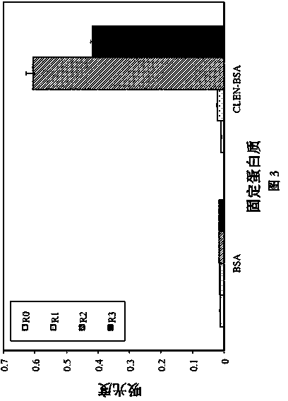 Phage antibody library and application thereof in content determination of clenbuterol hydrochloride