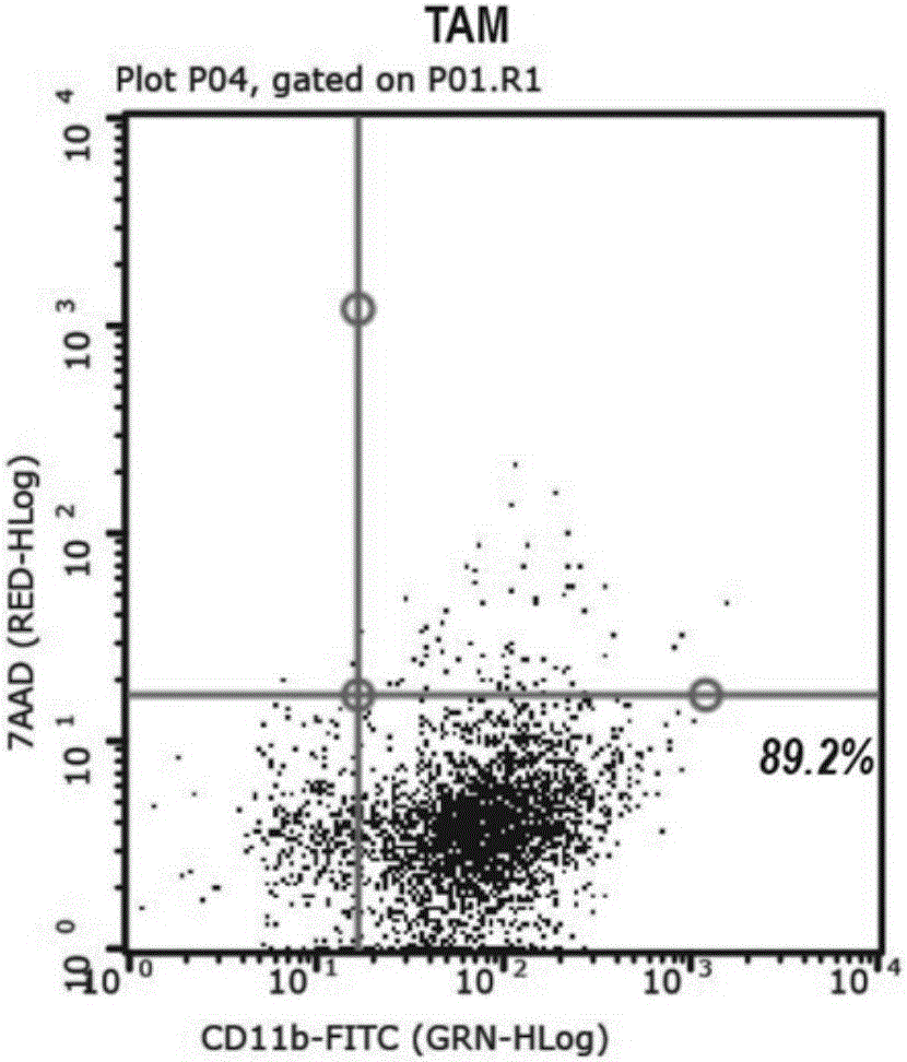 Use of miR-100 inhibitor in cancer metastasis reduction