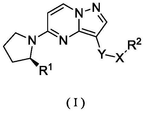 Substituted pyrazolo[1,5-a]pyrimidine compounds as trk kinase inhibitors