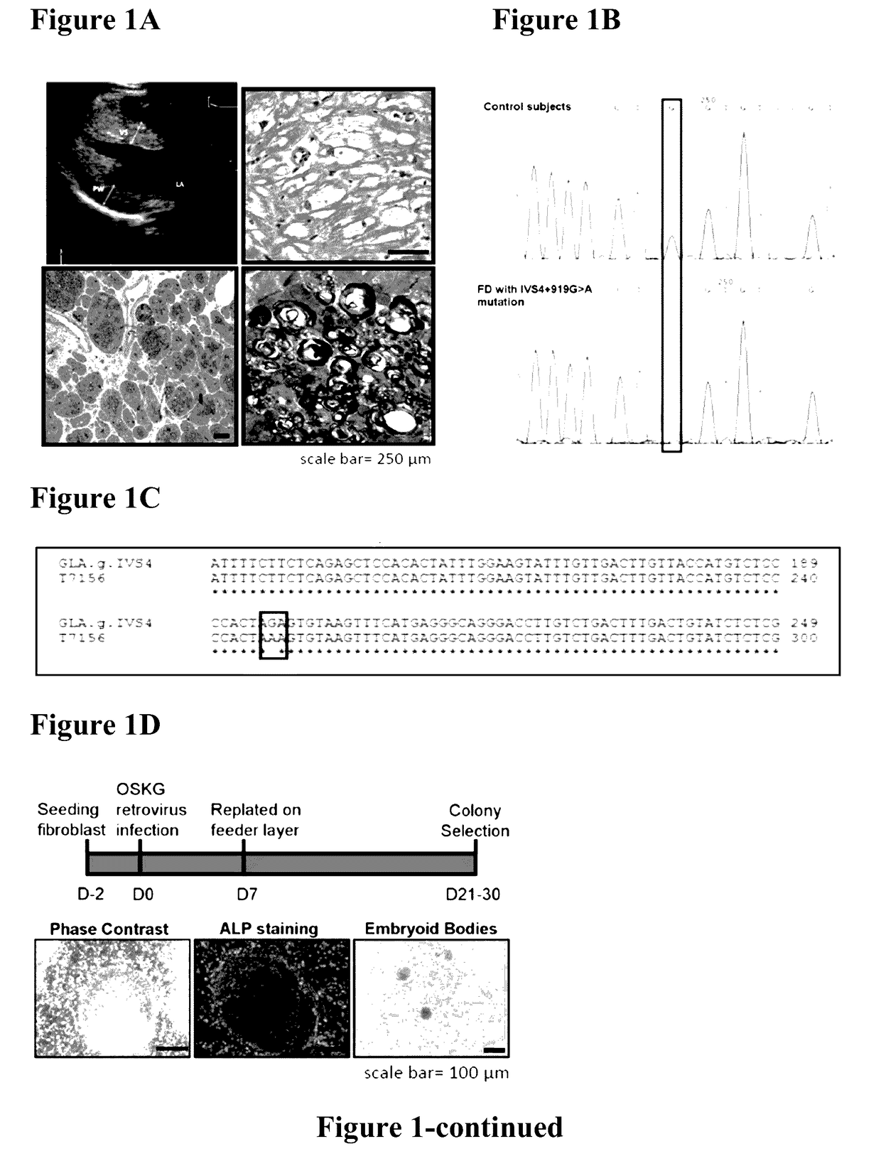 Method for preparing induced pluripotent stem cells
