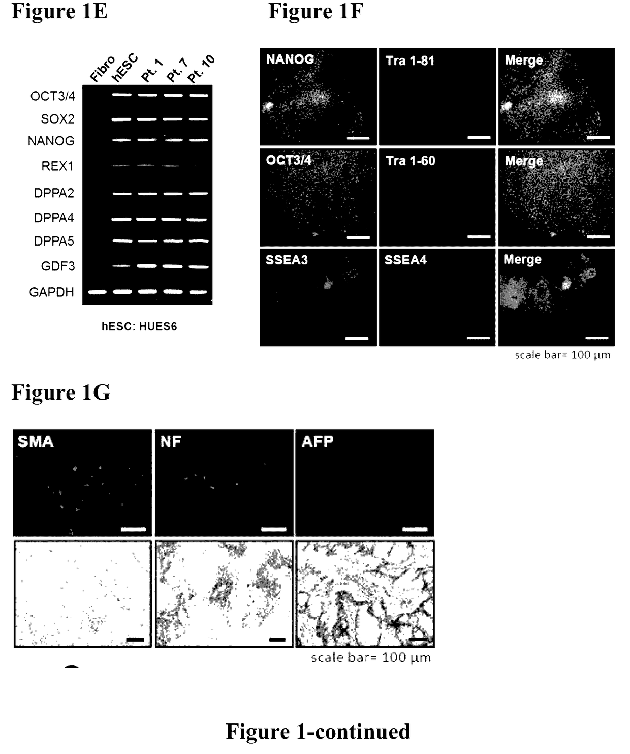 Method for preparing induced pluripotent stem cells