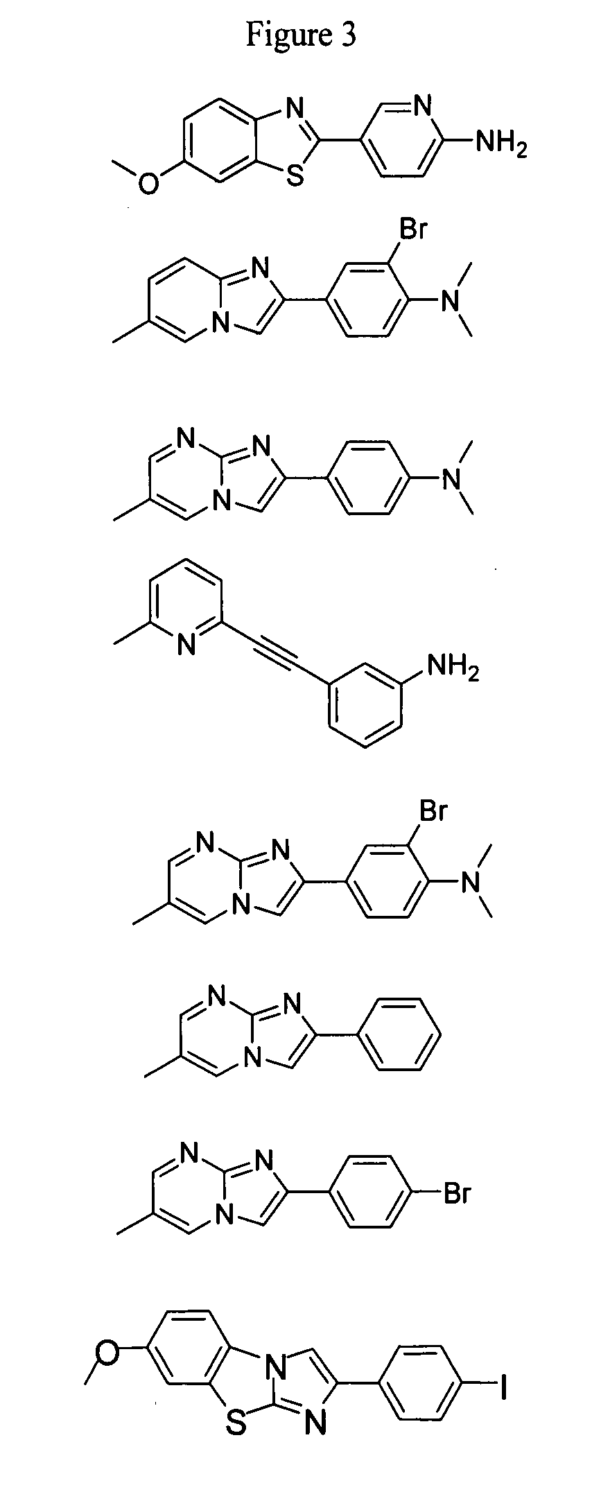Compounds and amyloid probes thereof for therapeutic and imaging uses