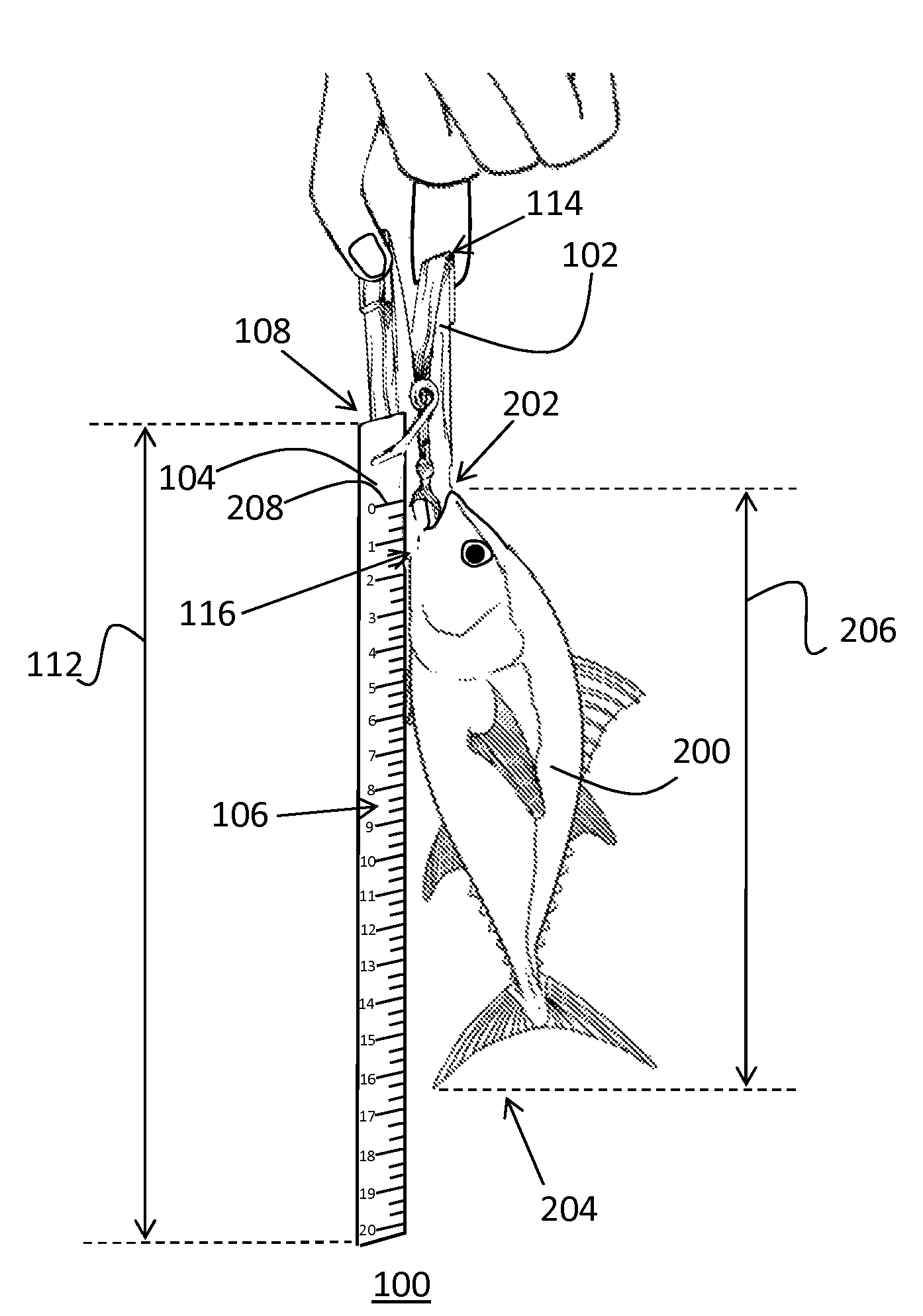 Fish measuring device and method therefore