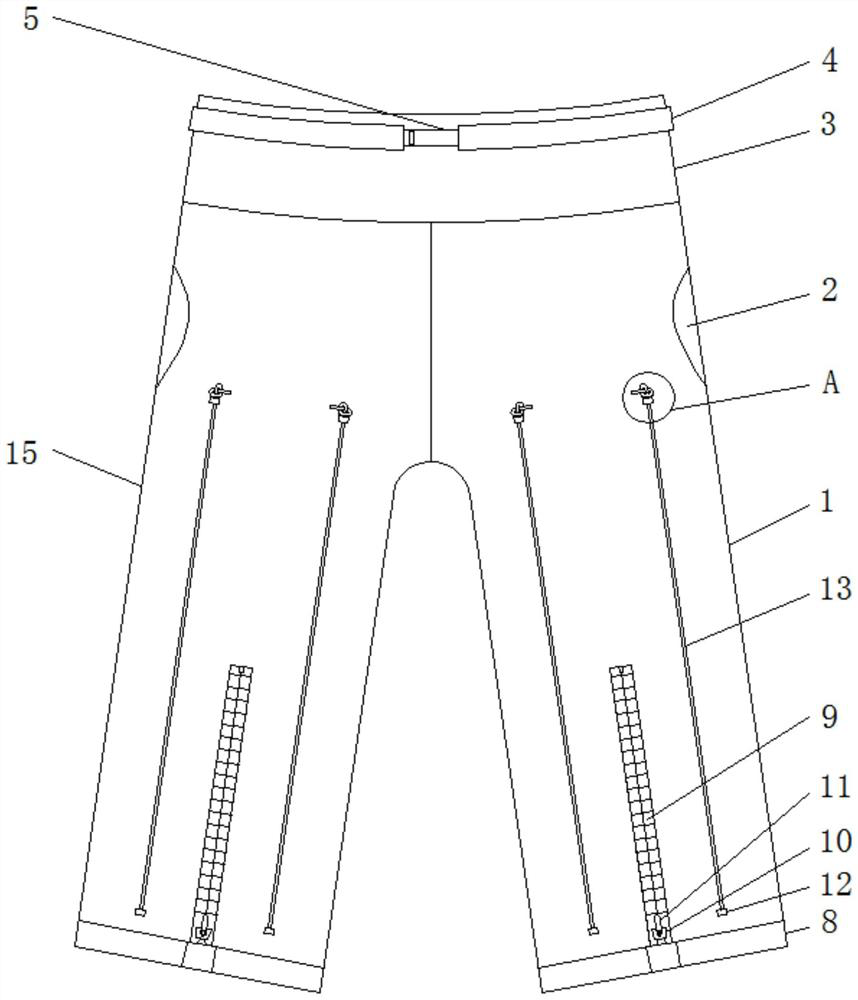 Female riding trousers