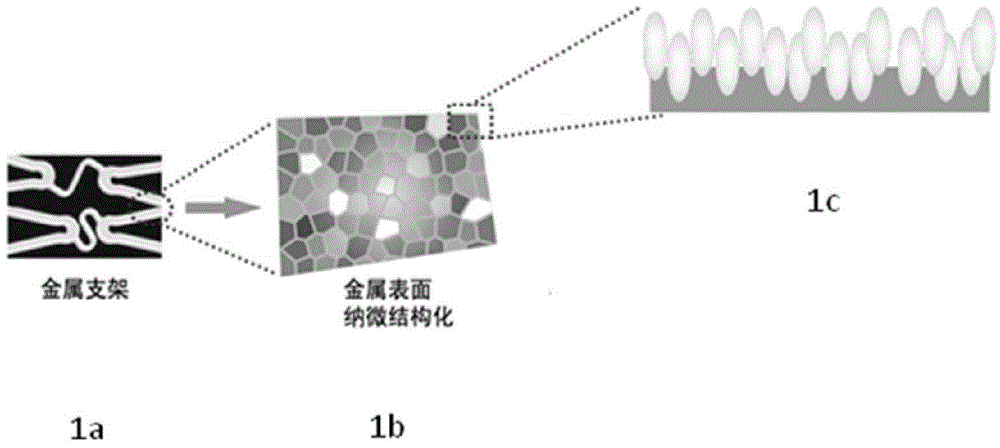 Metal support with micro-nano structure on surface