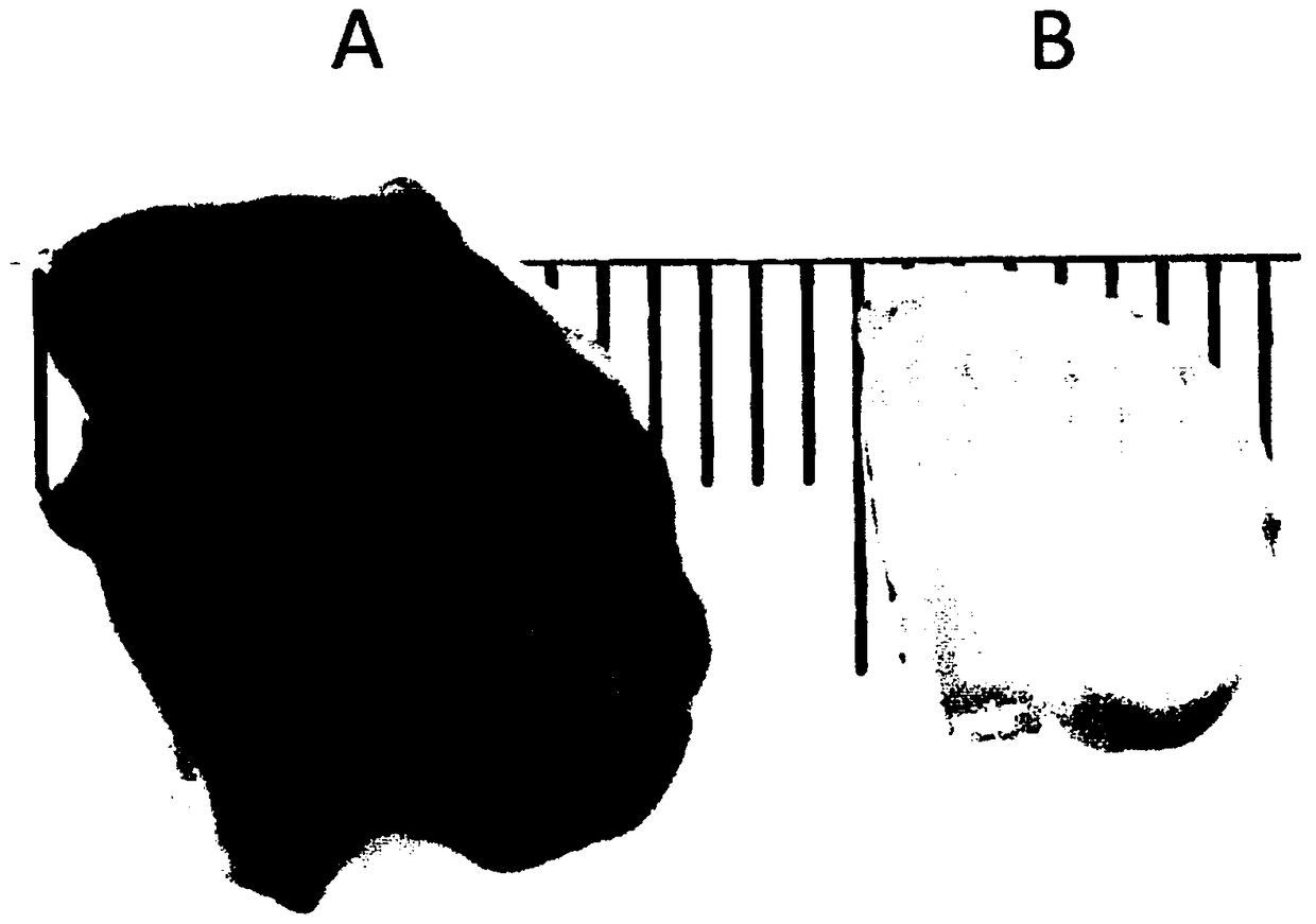 Tissue clearing method, tissue clearing reagent and tissue observation method