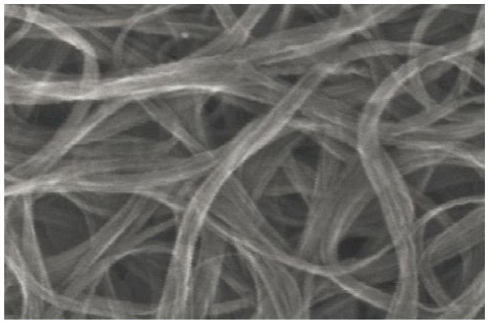 Preparation method of single-walled carbon nanotube powder