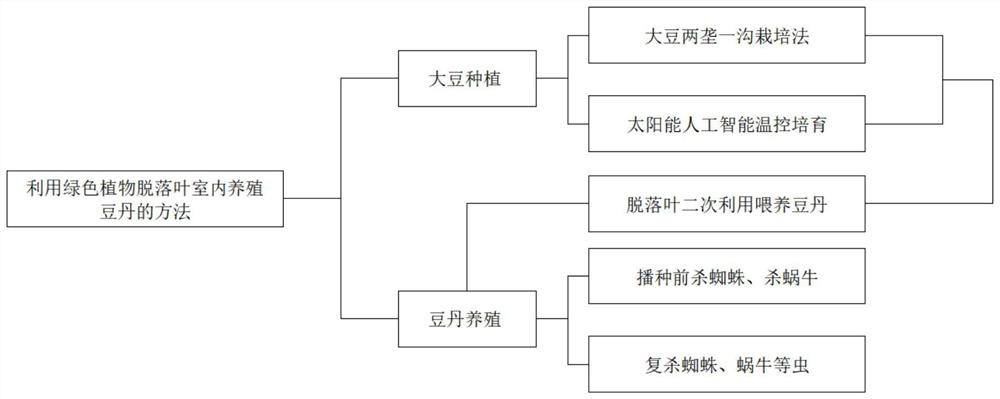 Method for indoor cultivation of clanis bilineata tsingtauica by using fallen leaves of green plants