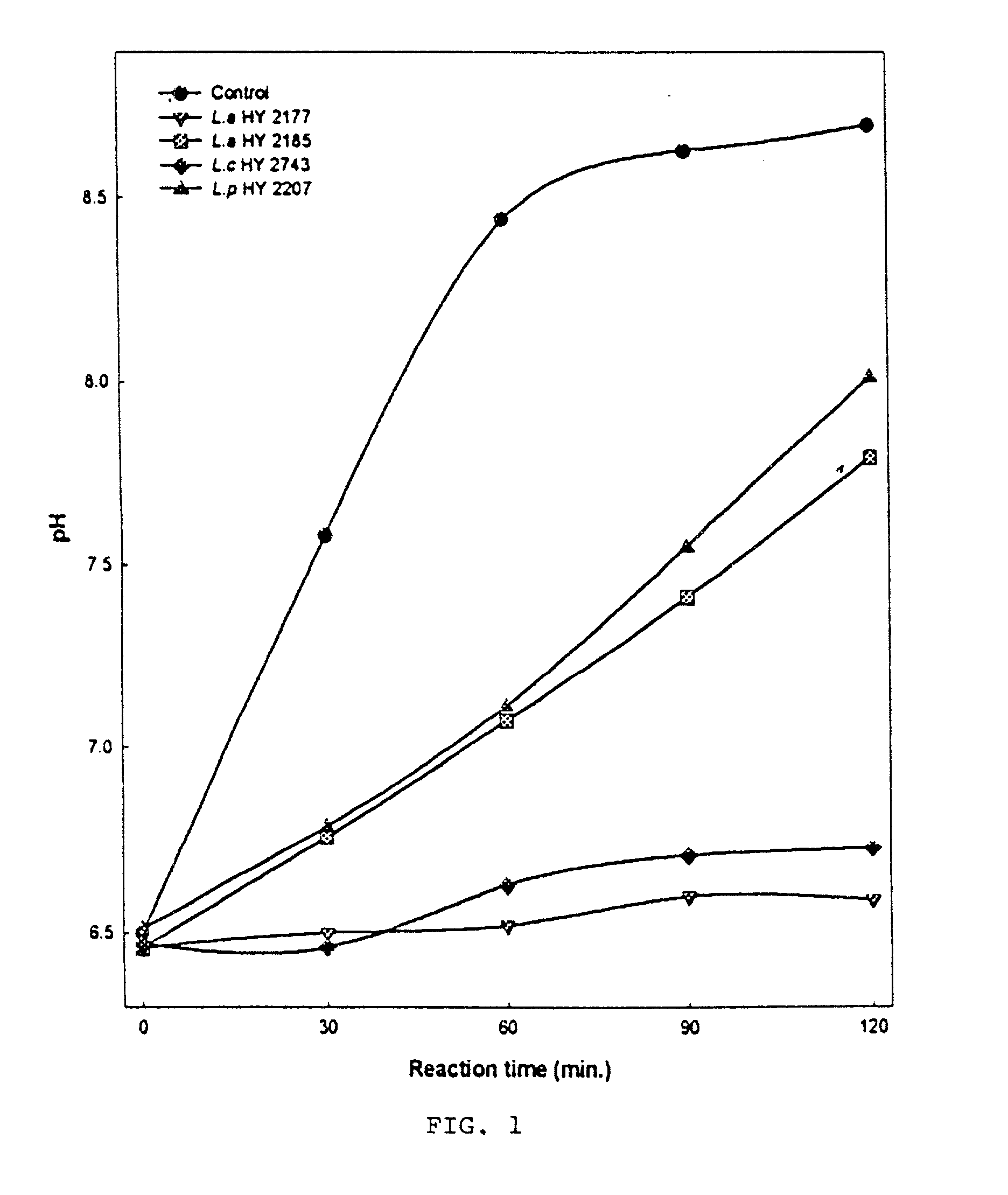 Food containing active strains for inhibiting infection and treating gastritis, gastric and duodenal ulcers