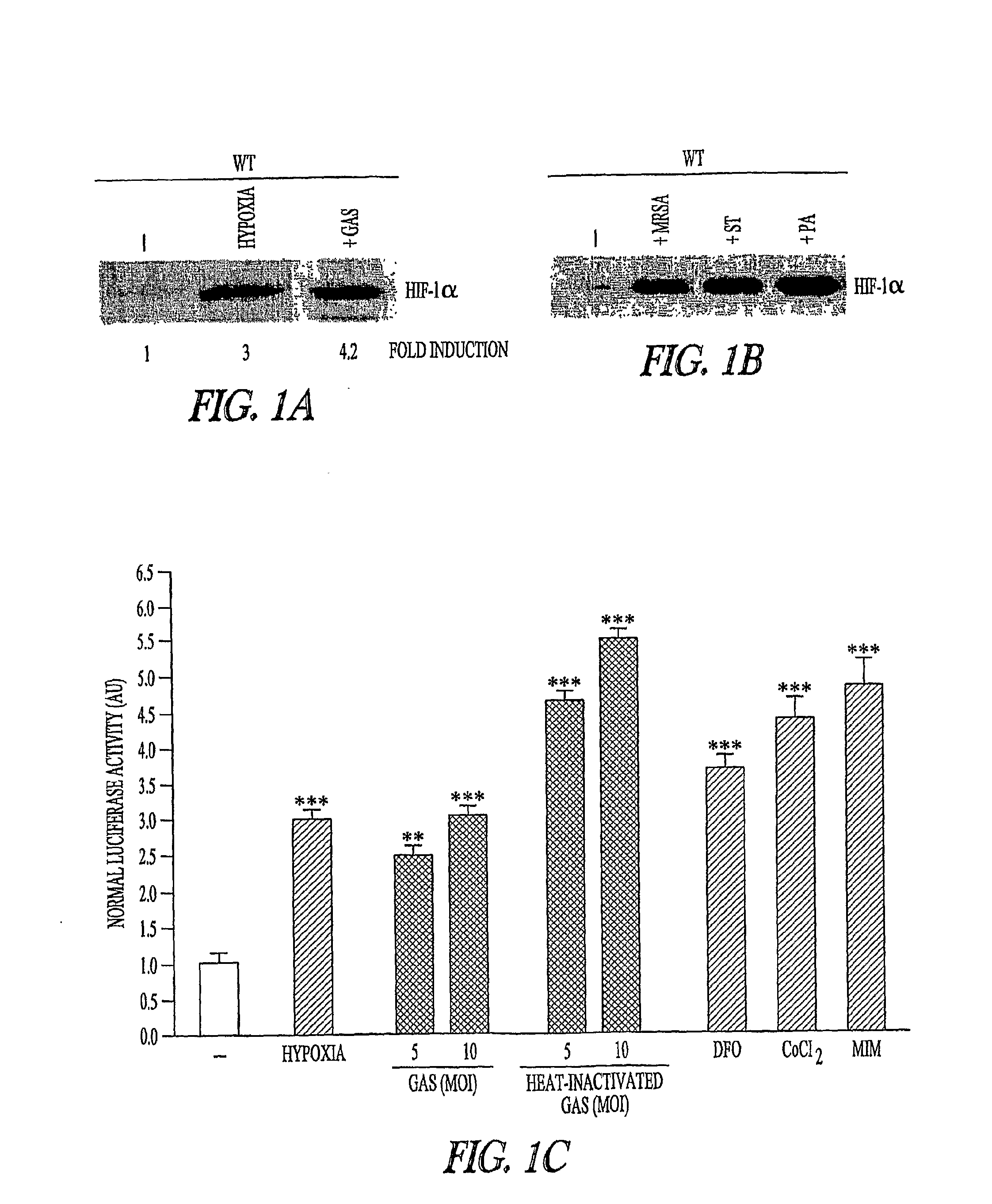 Hif Modulating Compounds and Methods of Use Thereof