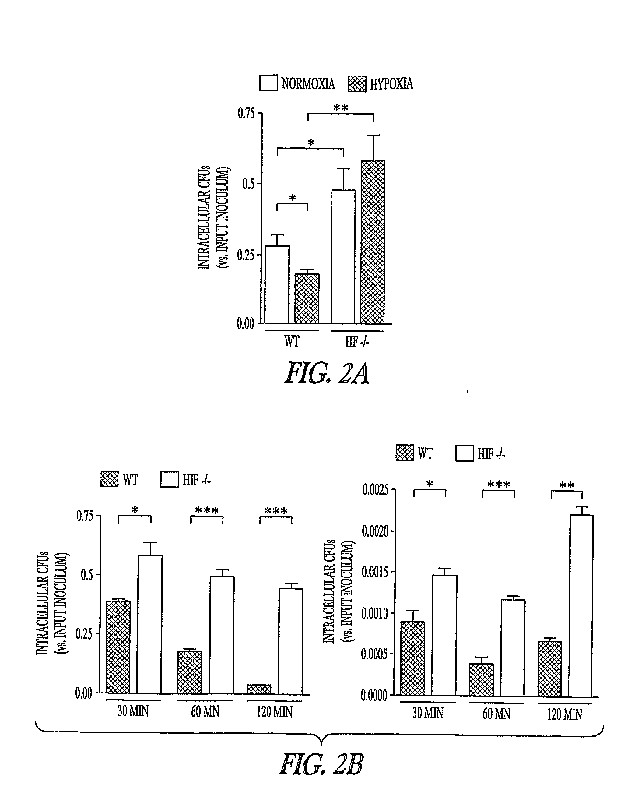 Hif Modulating Compounds and Methods of Use Thereof