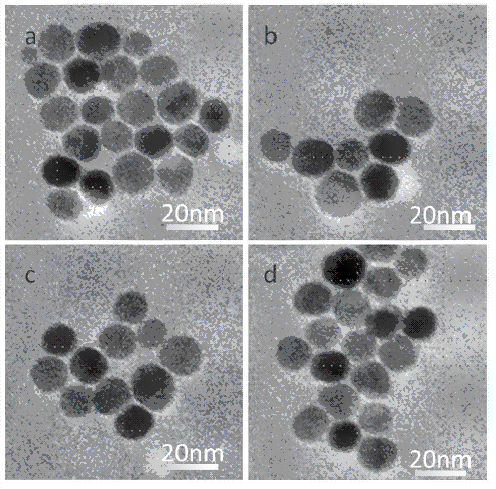 Fe3O4 nano-particles with high dispersion stability in water phase, and preparation method thereof