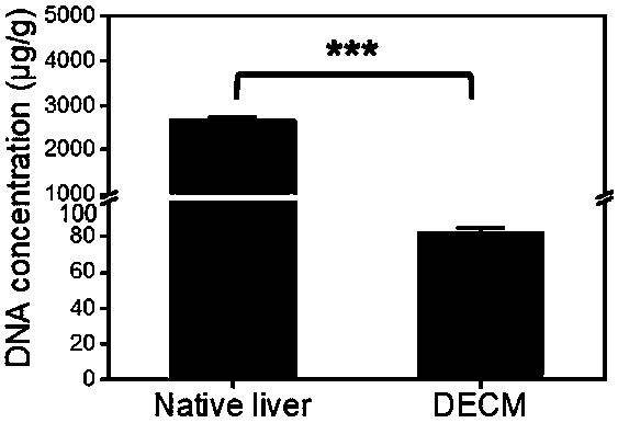 Decellularized extracellular matrix (DECM) template used for simulating liver cancer environment