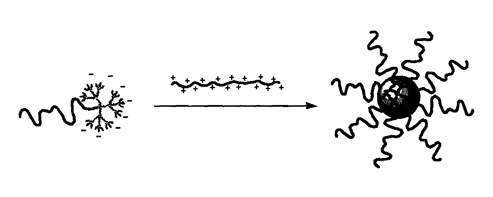 Ph-sensitive dendritic polymeric micelles