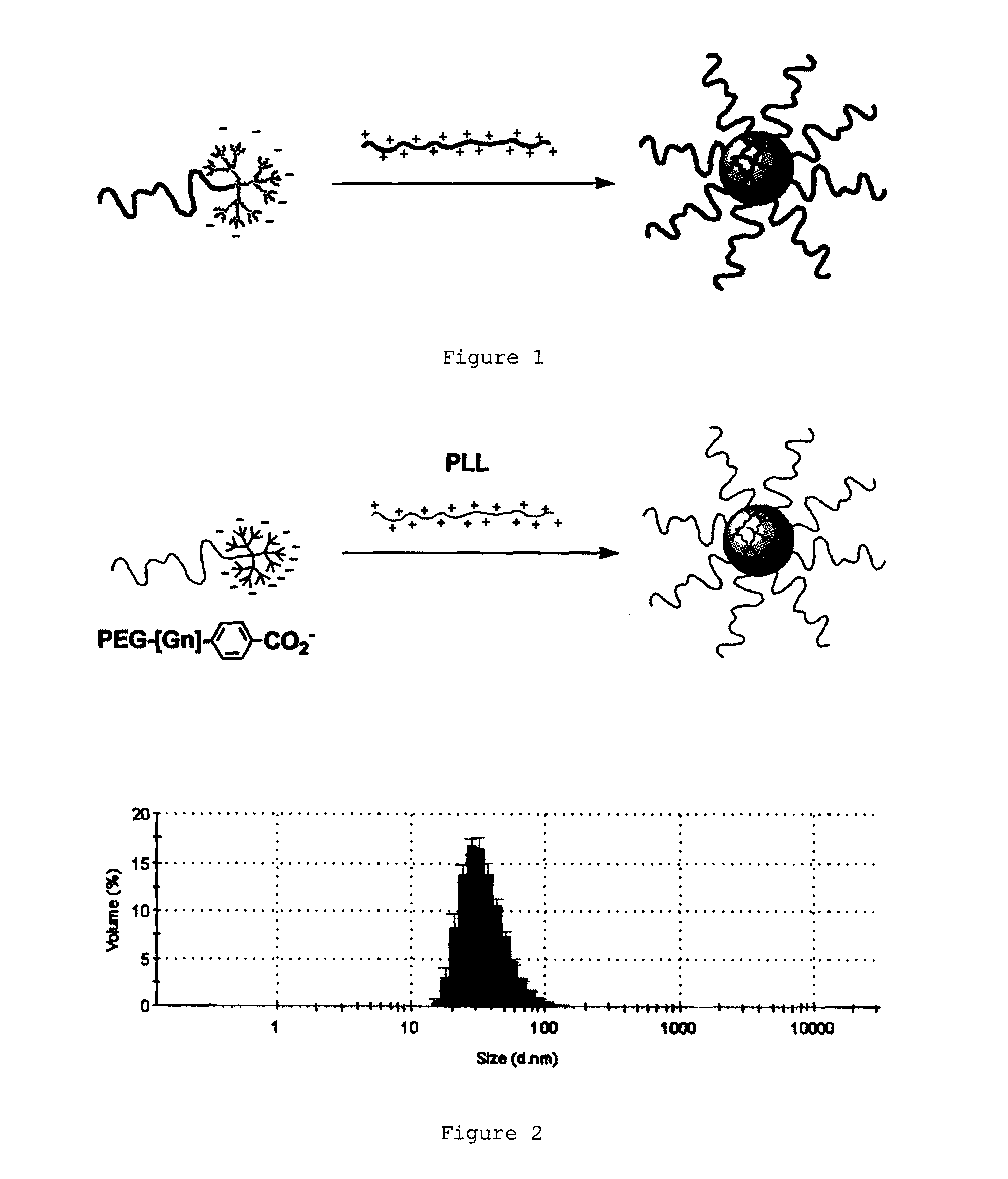 Ph-sensitive dendritic polymeric micelles