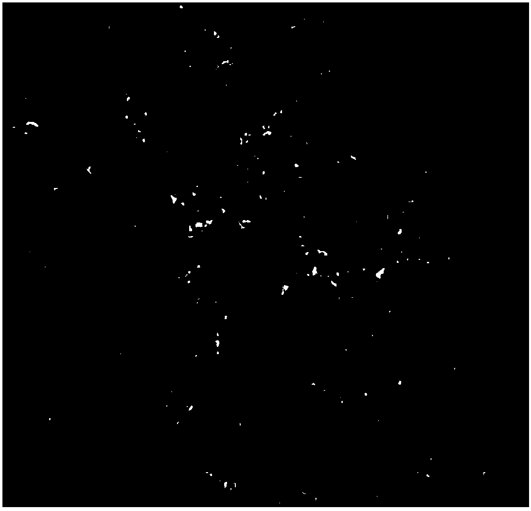 Manufacture method of eurotium cristatum Pu'er tea