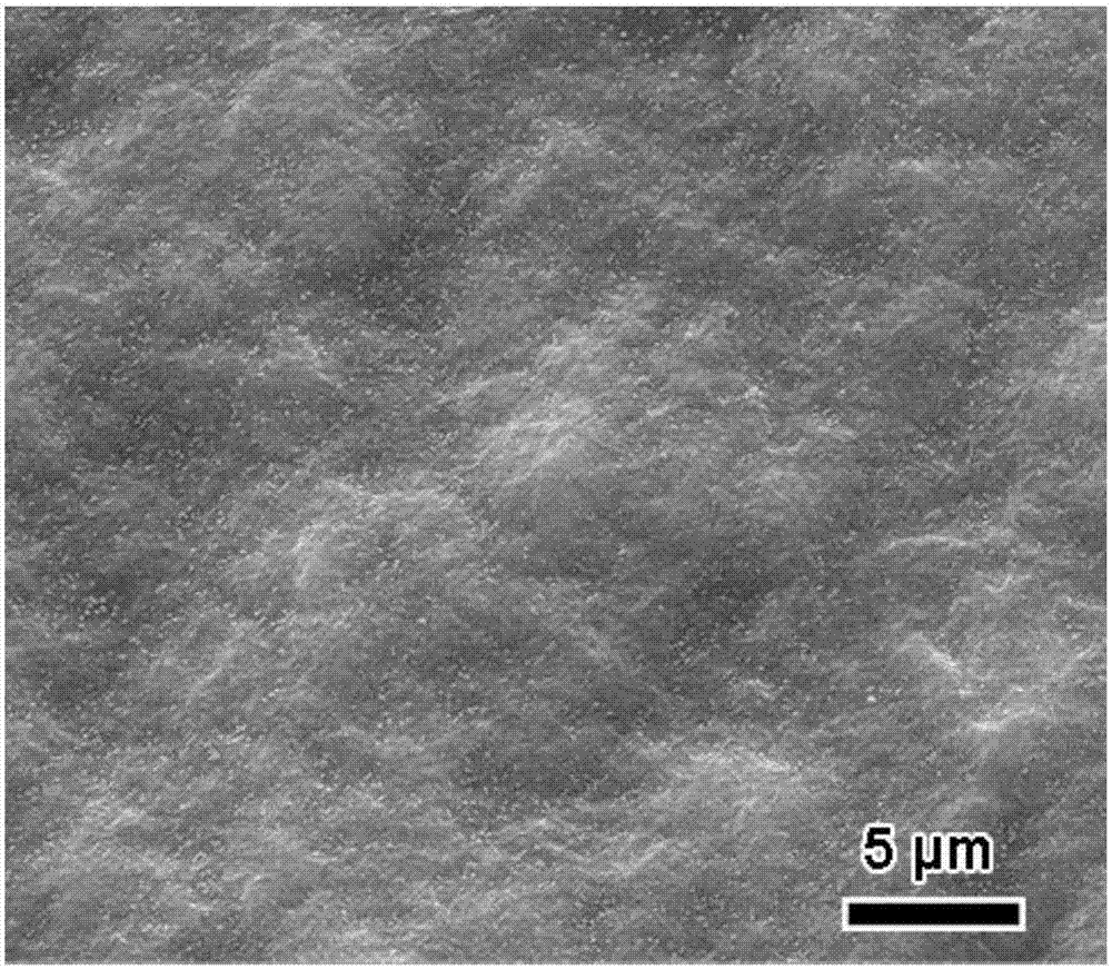 Organic polymer enhanced graphene intercalation material for lithium-sulfur batteries