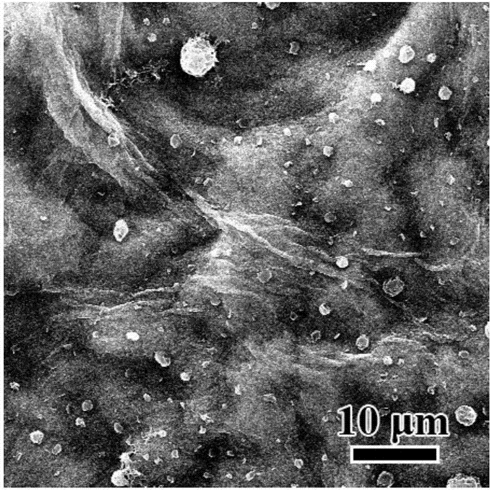 Organic polymer enhanced graphene intercalation material for lithium-sulfur batteries