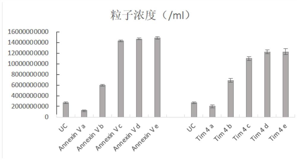 Protein cross-linked nano-silicon and preparation method, exosome separation and purification method and application