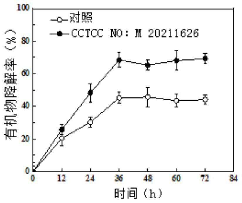 Biological reduction strain for kitchen waste and application thereof