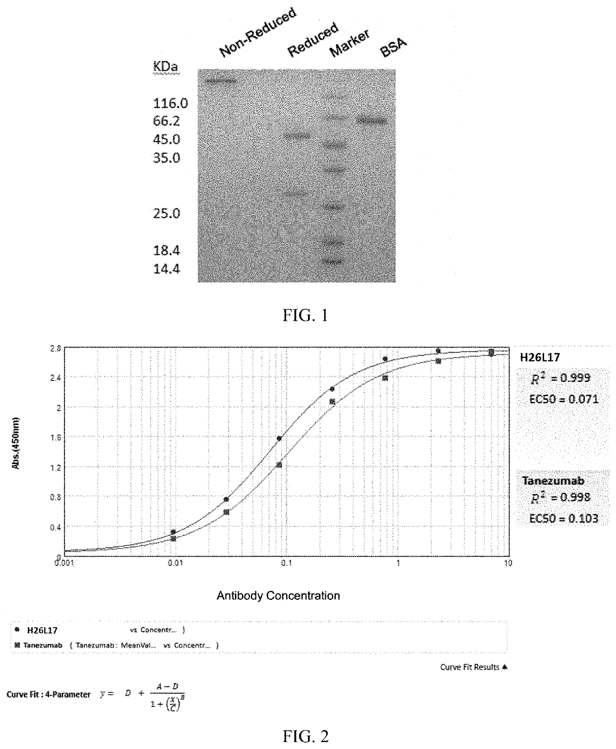 Monoclonal antibody of nerve growth factor, and encoding gene and use thereof