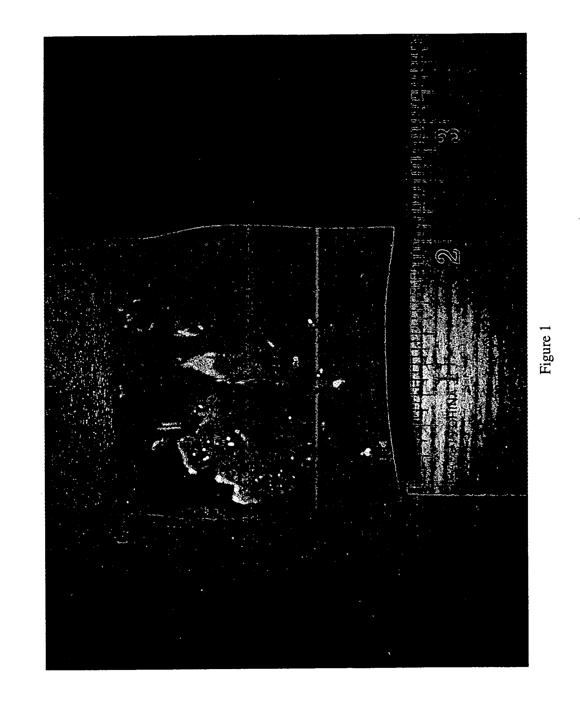 Lowered exotherm thermoset compositions