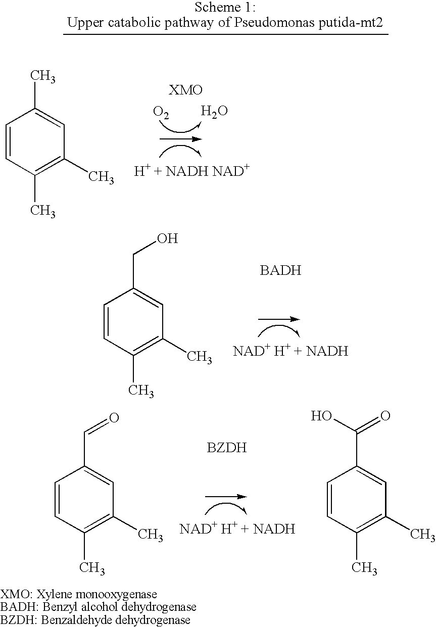 Method for the oxidation of aromatic compounds