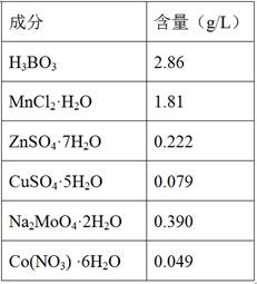 Method for open culture and production of microalgae grease