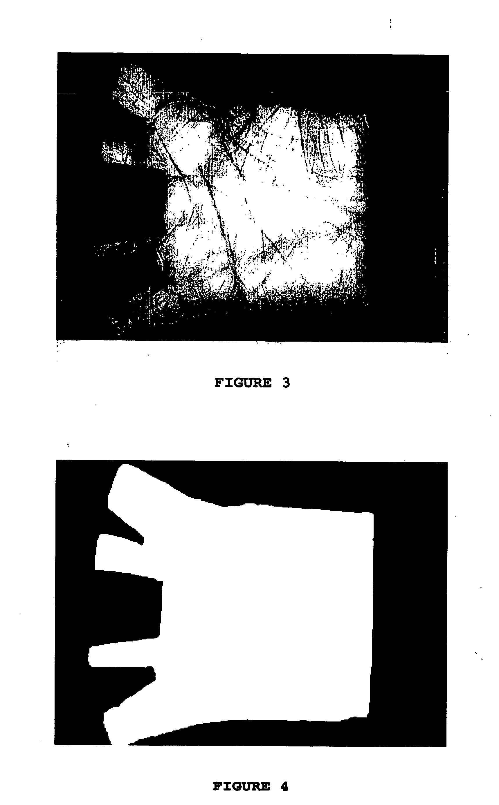 Method of palm print identification
