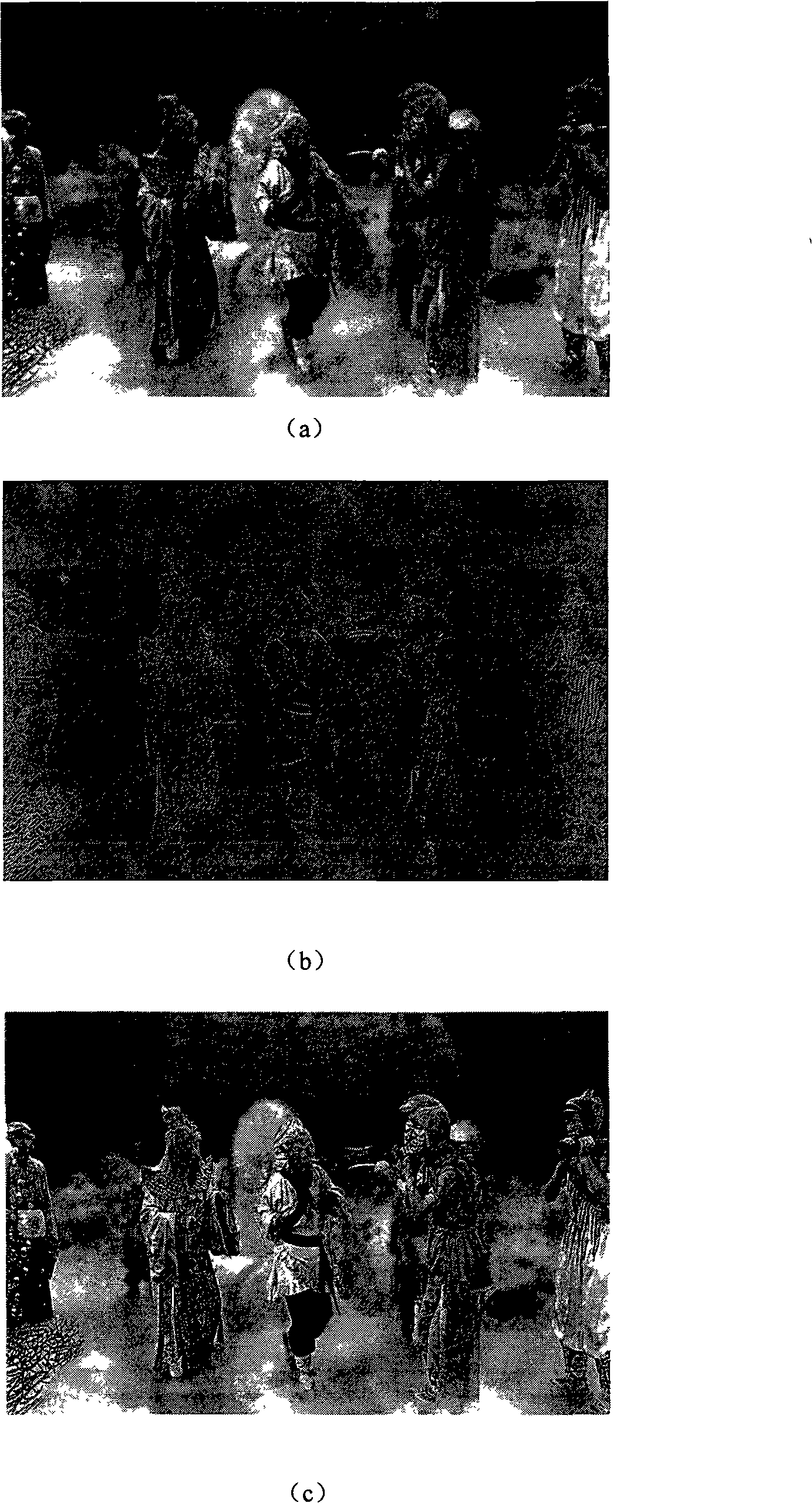 Method for converting flat video to tridimensional video based on real-time dialog between human and machine
