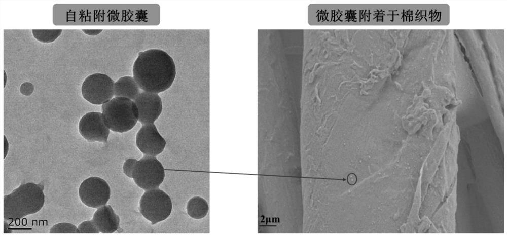 Controllable perfuming self-adhesive microcapsule for textiles as well as preparation and application of controllable perfuming self-adhesive microcapsule