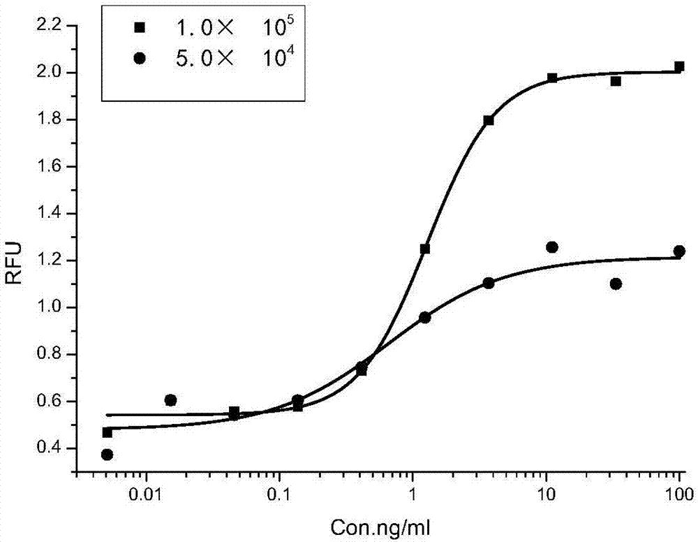 A method for detecting biological activity of recombinant human keratinocyte growth factor