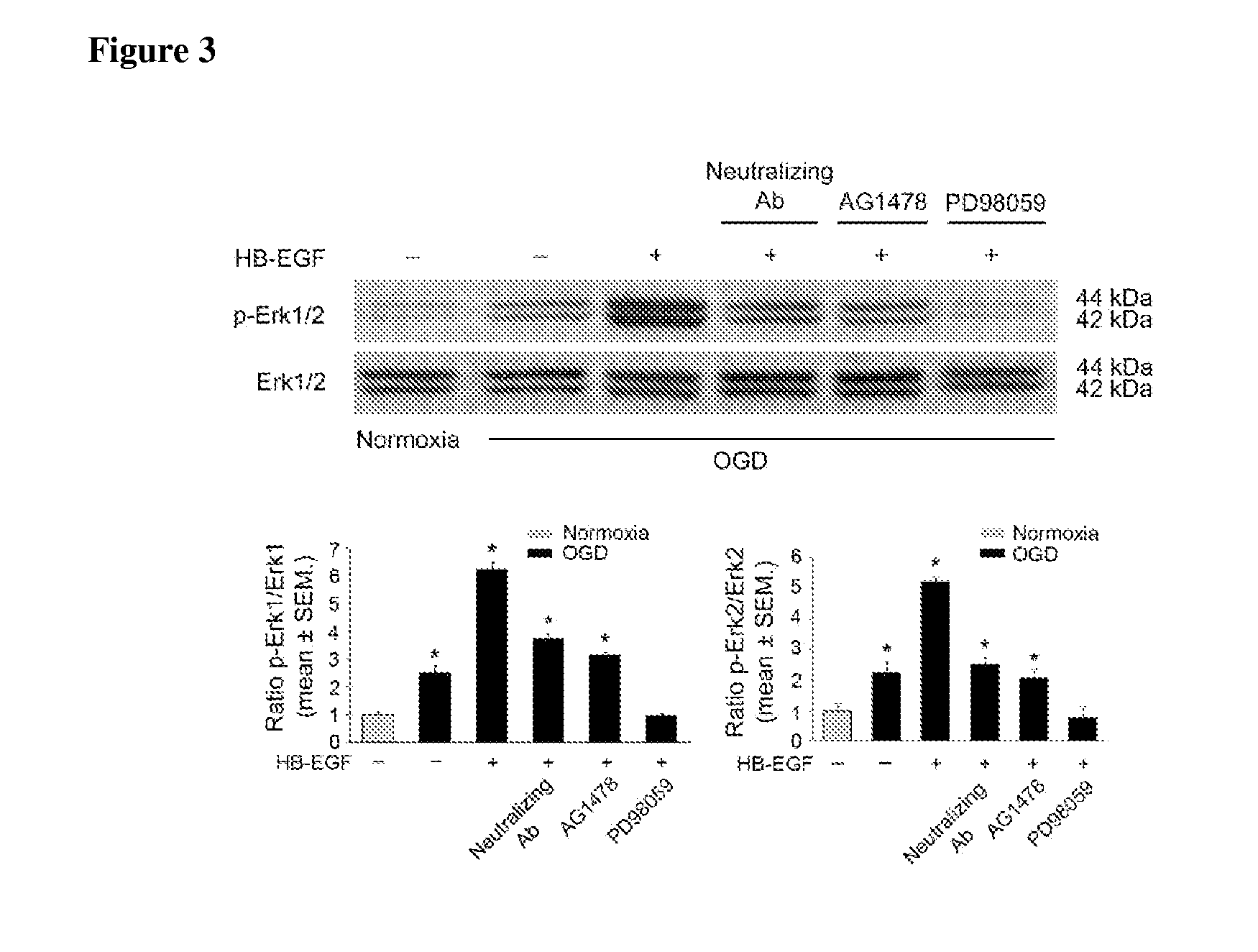 Administration of HB-EGF for the Protection of Enteric Neurons