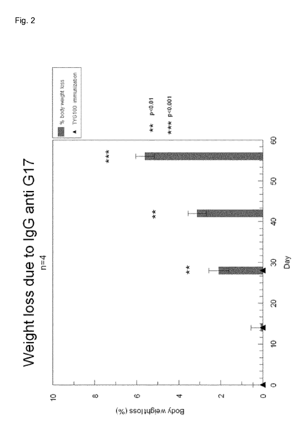 Gastrin peptide immunogenic composition