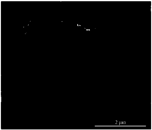 A kind of preparation method and application of doped polypyrrole/titanium dioxide nanotube composite material