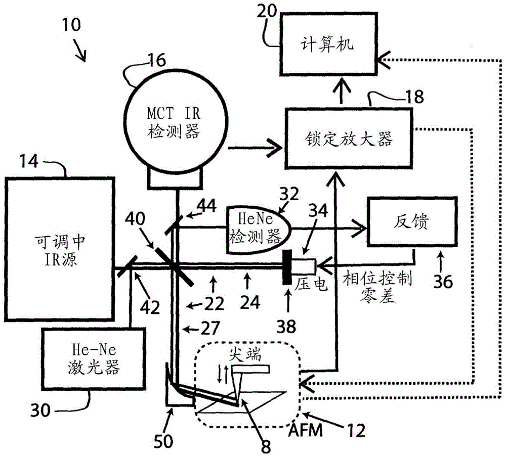 Method to obtain absorption spectra from near-field infrared scattering using homodyne detection