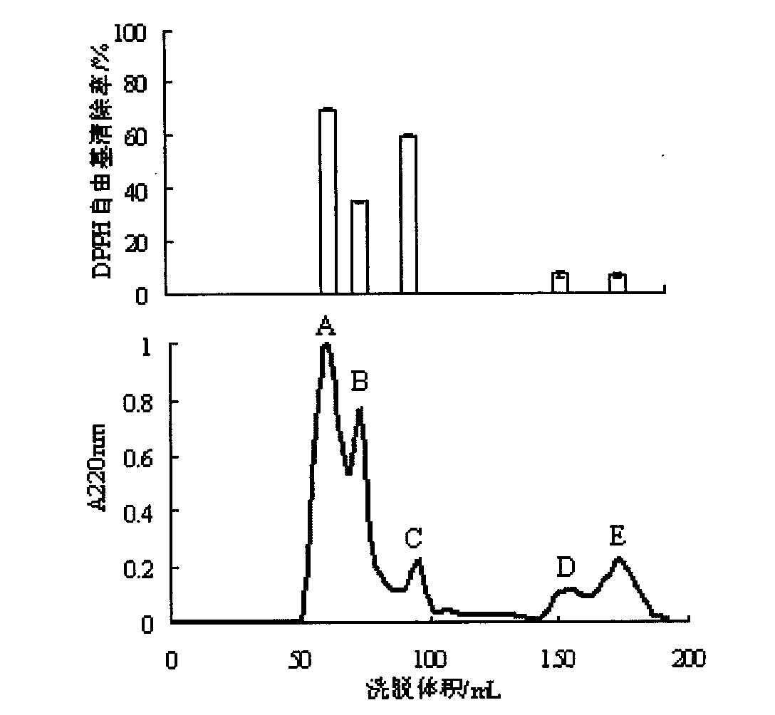 Whey protein antioxidant peptides, preparation method thereof and application thereof