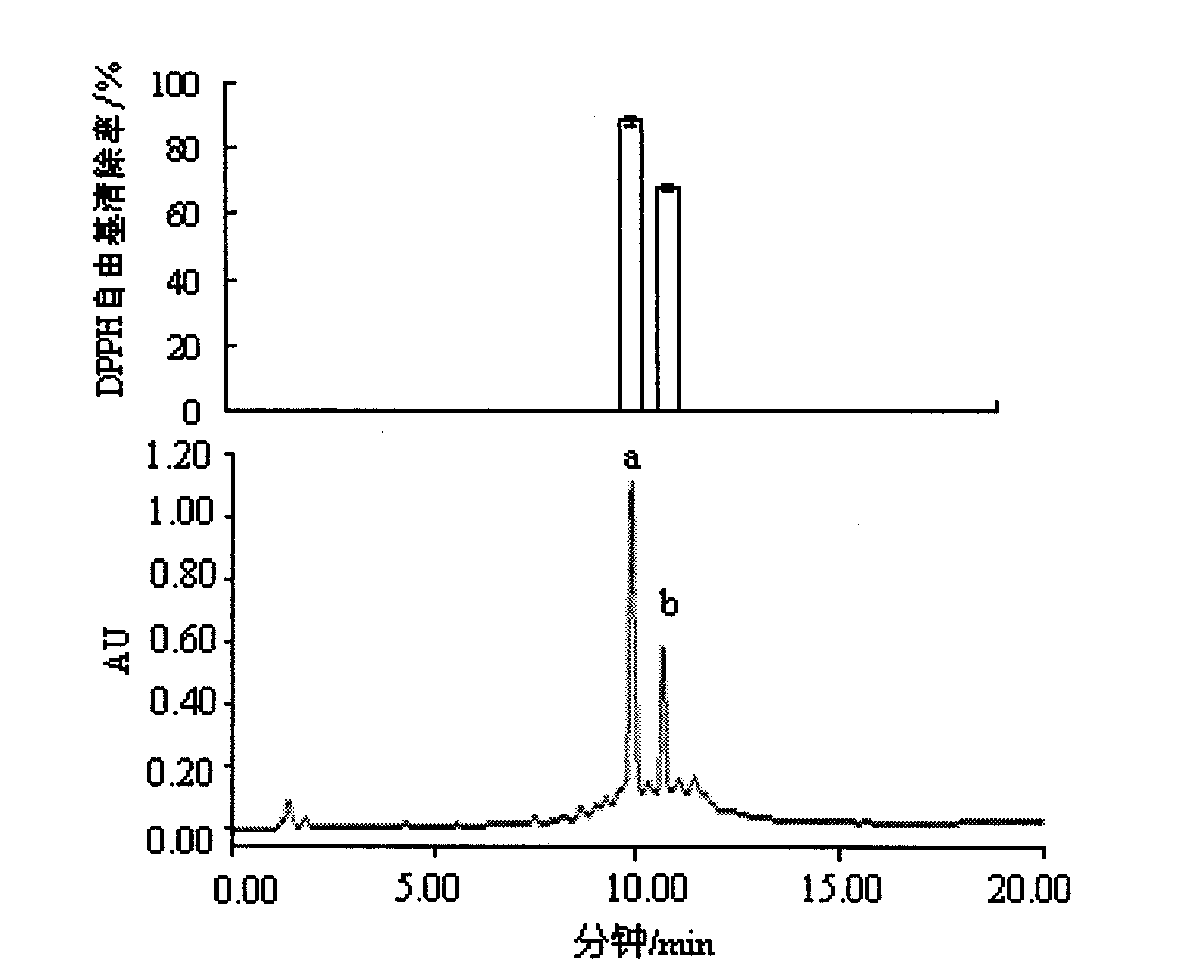 Whey protein antioxidant peptides, preparation method thereof and application thereof