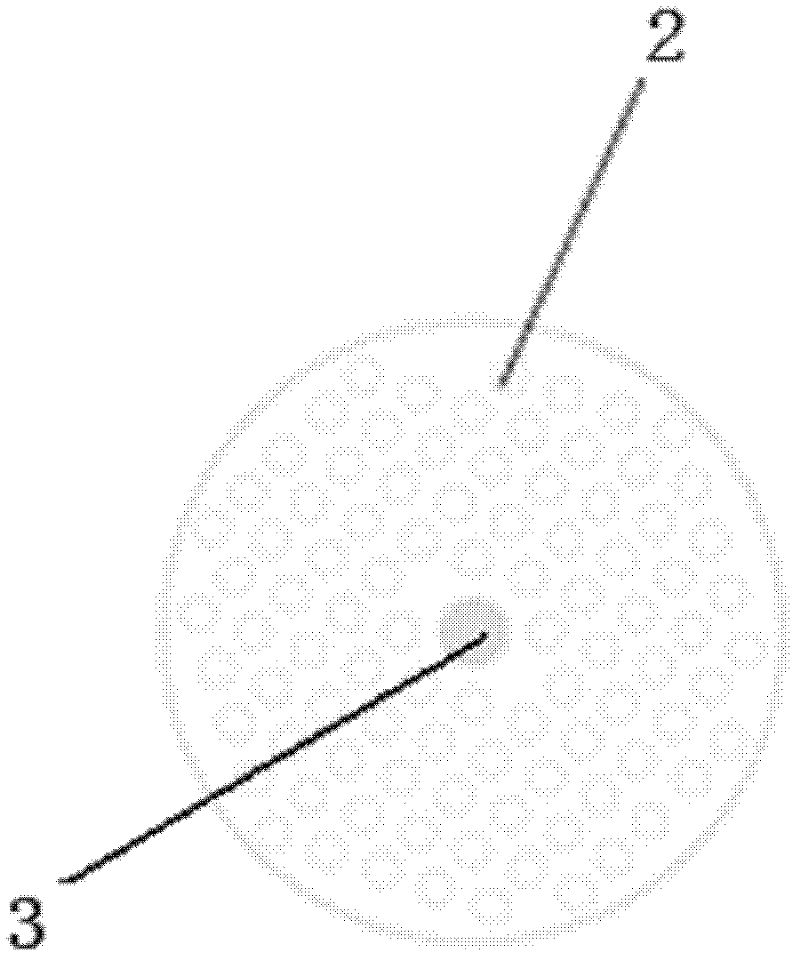 Photonic crystal fiber grating temperature sensor based on liquid filling and manufacturing method thereof
