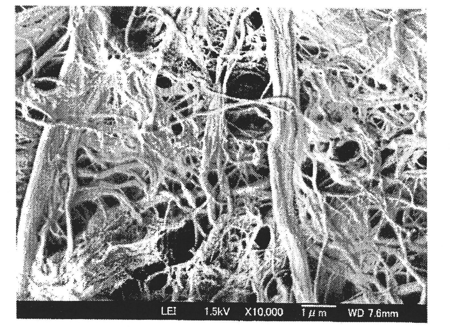Cellulose nanofibers