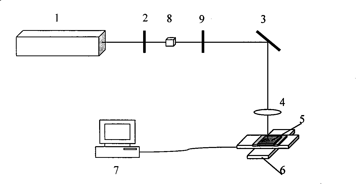 Process for preparing zinc oxide nanometer wire array by femtosecond laser and device thereof