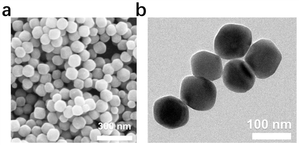 Fe2O3@Pt multifunctional nano-particles and preparation method and application thereof