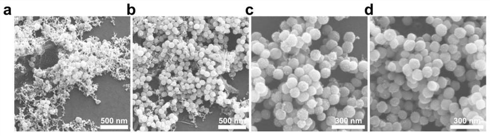 Fe2O3@Pt multifunctional nano-particles and preparation method and application thereof