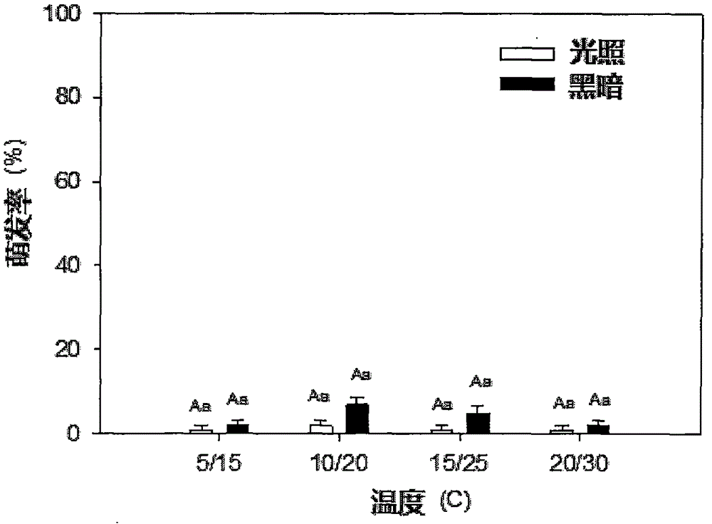 Method for promoting efficient and quick germination of allium mongolicum regel seeds