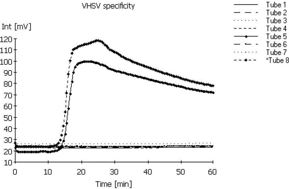 RT-LAMP test kit for viral hemorrhagic septicemia virus