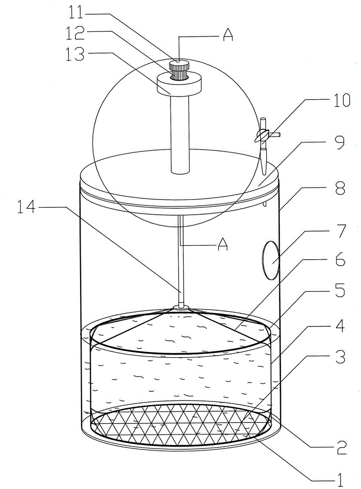 Lifting and pulling type biological sample displaying container