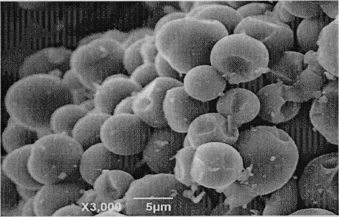 Method for preparing carbon micro-spheres by using coal as raw material