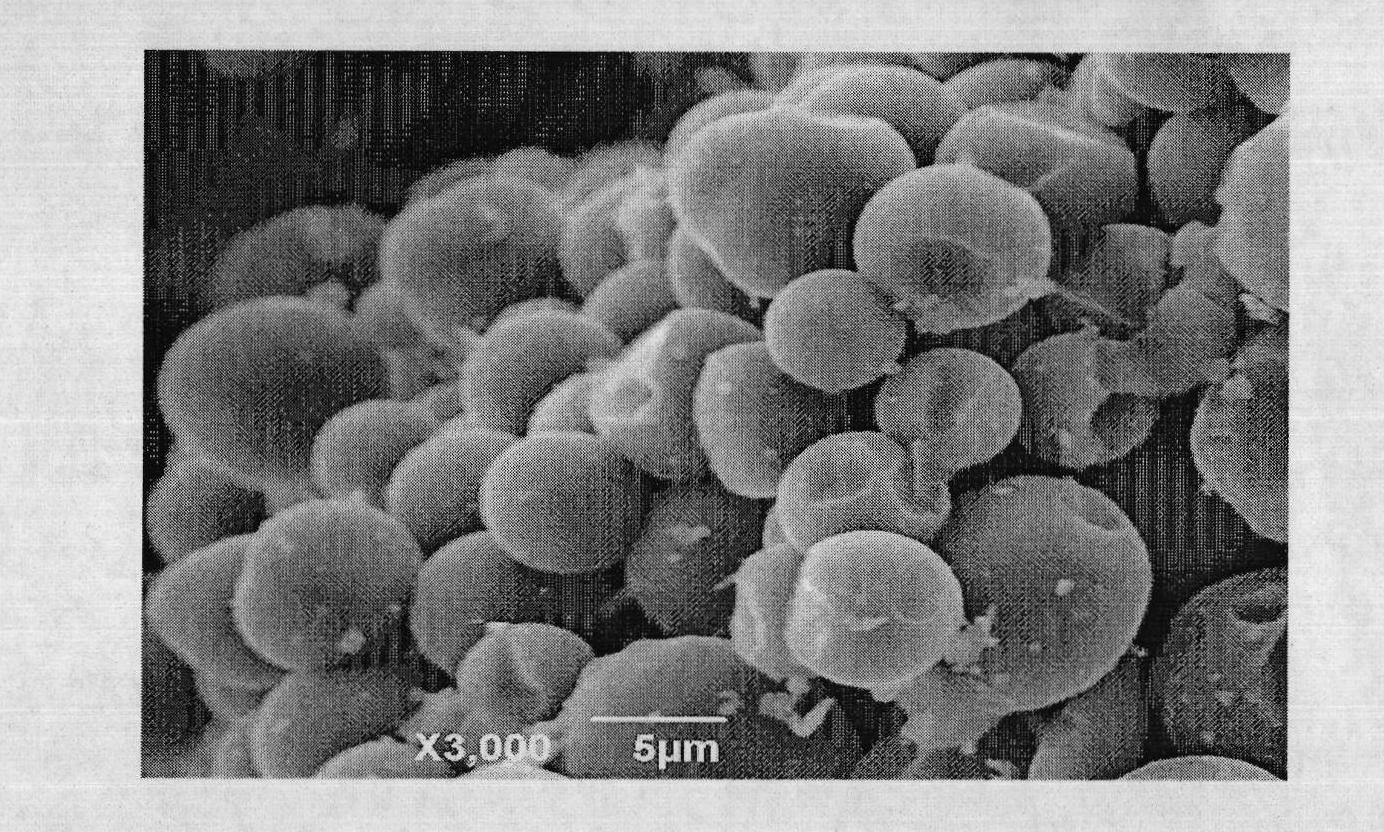 Method for preparing carbon micro-spheres by using coal as raw material