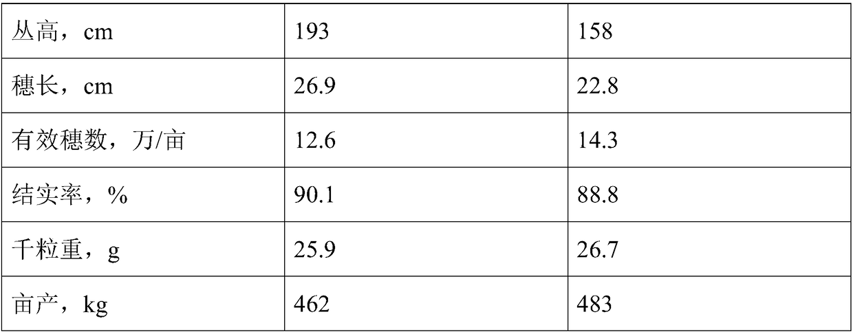 Preparation method of healthy and environment-friendly rice special fertilizer